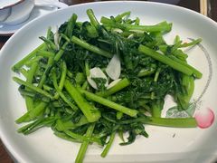 -靖远尕六美味羊羔肉