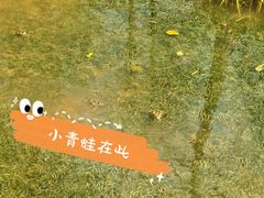 -八卦田遗址公园