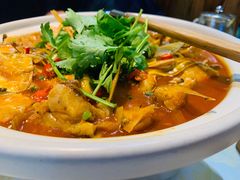 -魏铭鱼头捞饭(晋阳路店)