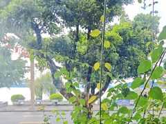 -野菌皇海景野生菌火锅(滨海大道店)