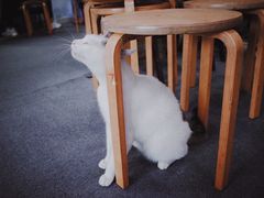 -青沐画室·专业美术培训