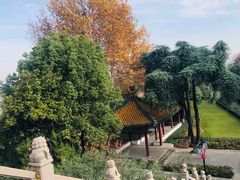 -阅江楼风景区