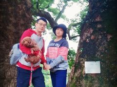 -杨家堂村
