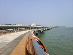-演武大桥观景平台