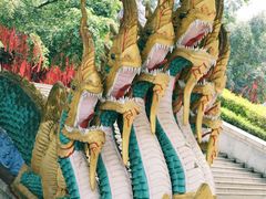 -西双版纳勐泐文化旅游区