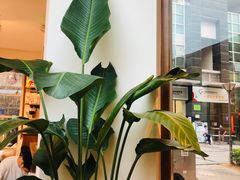 -Line 咖啡(石厦花园店)