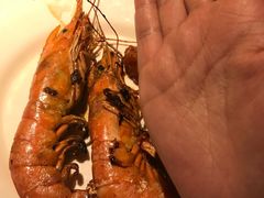 -星伦多 自助料理(圆融店)