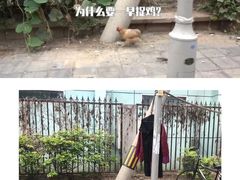 -草场地艺术区