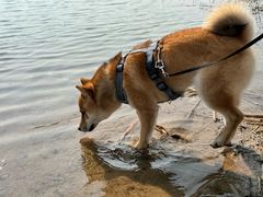 -绿堤公园