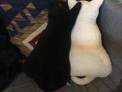 -ZooYoo佐佑咖啡(鼓楼店)