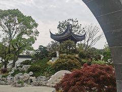 -上海滨江森林公园