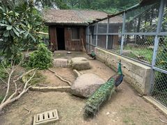 -上方山森林动物世界