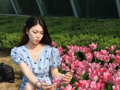 -石家庄市植物园