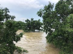 -宝安西湾红树林湿地公园