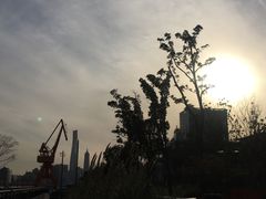 -北外滩滨江绿地