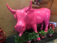 -小放牛炒菜馆(军校店)