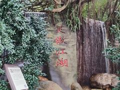 -雁南飞茶田景区