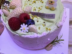 -山与蓝·轻糖鲜果蛋糕(勒泰店)