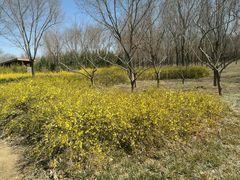 -东郊湿地公园