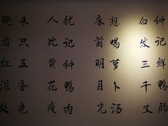 -钟鸭子·非物质文化遗产(观景路店)
