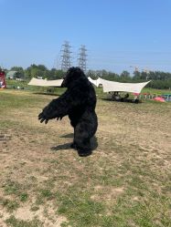 -268童话露营营地·烧烤·团建