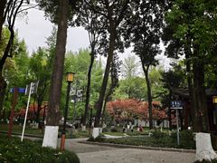 -温江公园