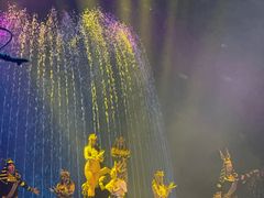 -灵玲国际马戏城