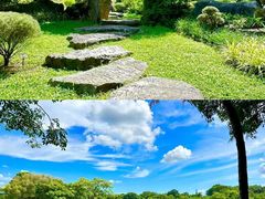 -东莞植物园