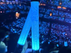 -梦之蓝青奥体育公园体育馆