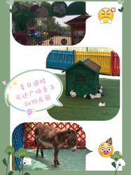 -萌宠亲子动物乐园(槐房万达店)