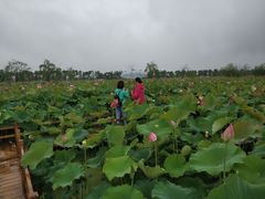 -漩门湾国家湿地公园
