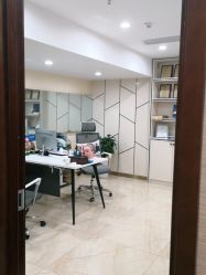 -碧莲盛·不剃发植发