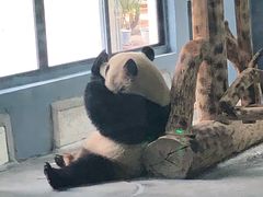 -火烈鸟餐厅