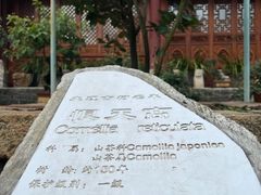 -总统兵马大元帅府