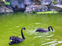 -荔江湾景区