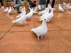 -济南方特东方神画