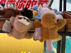 -海底捞火锅(龙湖金沙天街店)