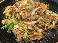 -喜悦烤鸭·新京菜(王府井店)