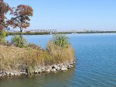 -南湖国家城市湿地公园