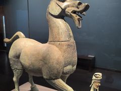 -广西壮族自治区博物馆