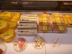 -蒲公英(五里店)