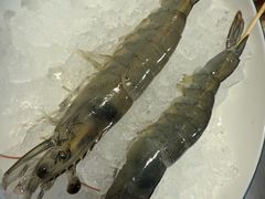 -椰子湾·海南火锅·糟粕醋·椰子鸡(正大广场店)