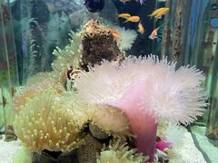 -太平洋海底世界