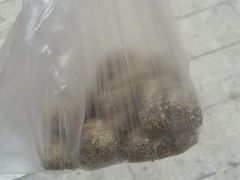 -叶氏麻糍(鼓浪屿店)