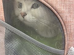 -联合动物医院(光谷诊疗中心)