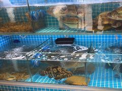 -钱塘人家(通泰路店)