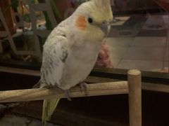 -动动咖啡清真西餐厅