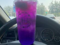 -夏叶茶(大光明店)