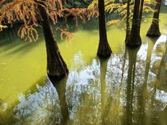 -广州市干部健康管理中心