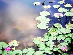 -圆明园停车场